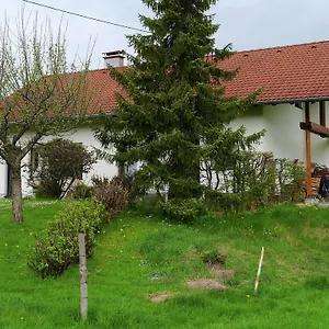 Cosy In Allg U With Garden Oy-Mittelberg