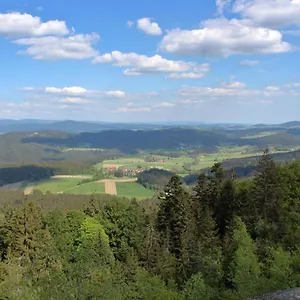 Irene Konstandin Bischofsmais